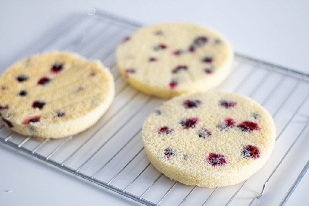 Fresh and Light Curd and Blackcurrant Cake