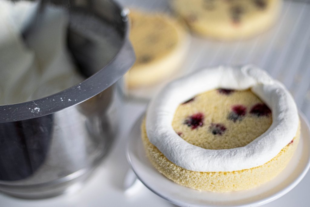 Fresh and Light Curd and Blackcurrant Cake