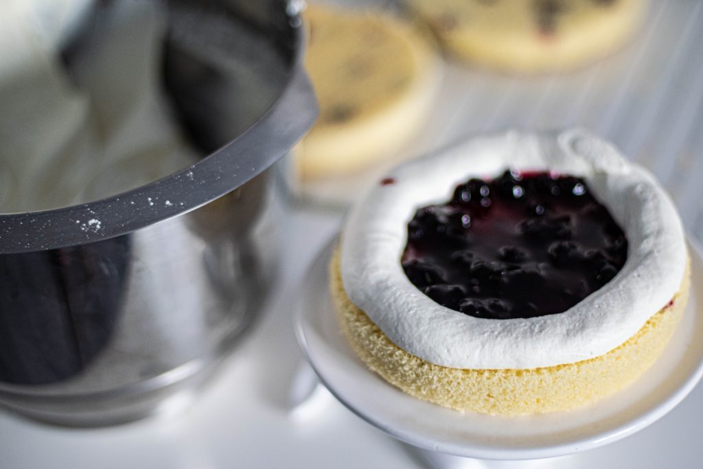Fresh and Light Curd and Blackcurrant Cake